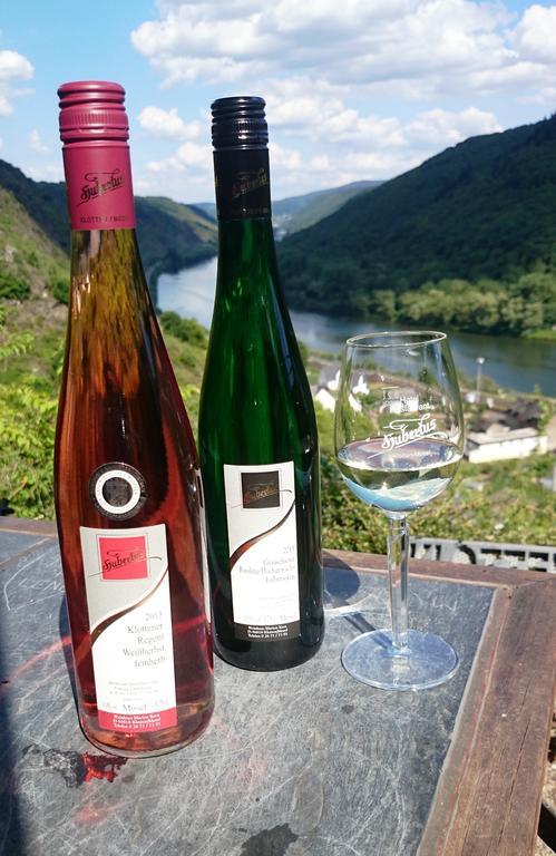 Weinhotel Hubertus Garni Klotten Ngoại thất bức ảnh